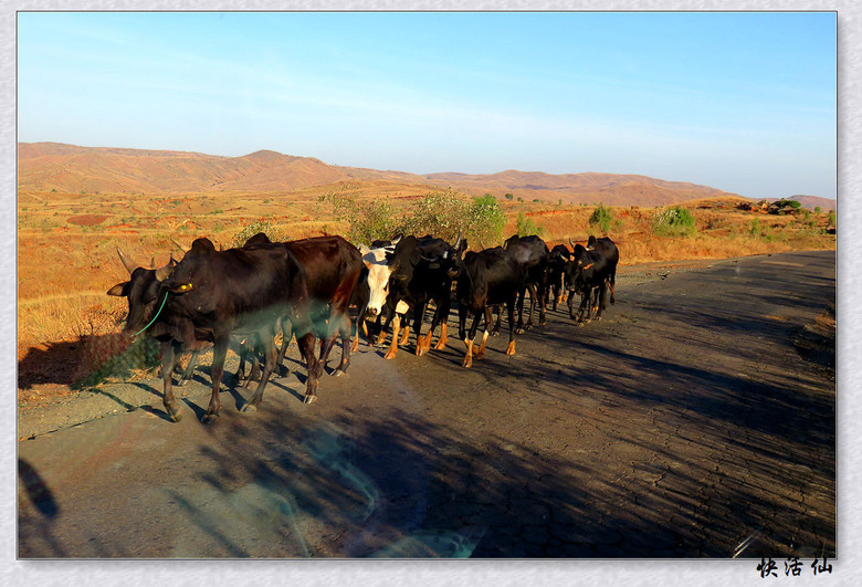 马岛34号公路沿线风情之二-从米安德里瓦祖镇