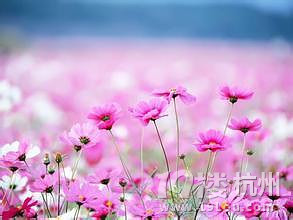 鸸ĸǲǕr(sh)ӳŮP?