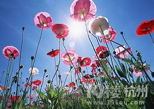 鸸ĸǲǕr(sh)ӳŮP?