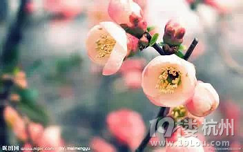 鸸ĸǲǕr(sh)ӳŮP?