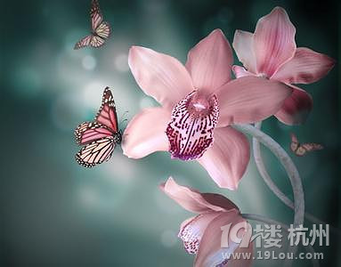 鸸ĸǲǕr(sh)ӳŮP?