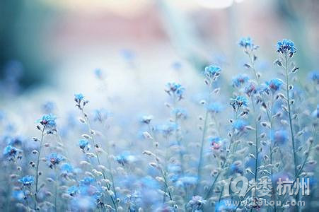 鸸ĸǲǕr(sh)ӳŮP?