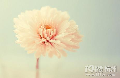 鸸ĸǲǕr(sh)ӳŮP?