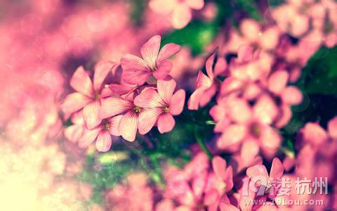 鸸ĸǲǕr(sh)ӳŮP?