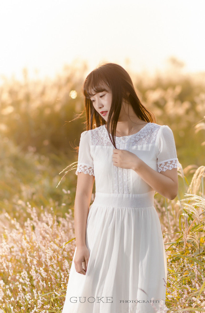 夢回蘆葦蕩