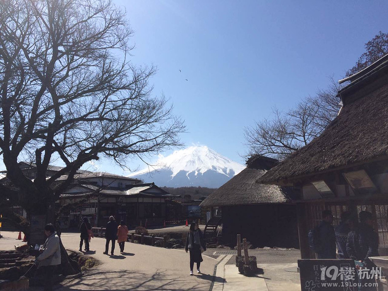穷游日本,美食美景随心所欲!
