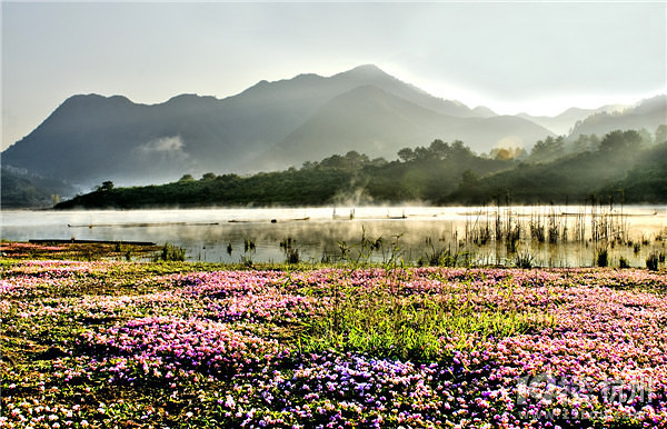 黄山市秋冬季自驾去哪儿--二十大自驾游产品推