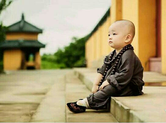 最萌小和尚 身是菩提树,心