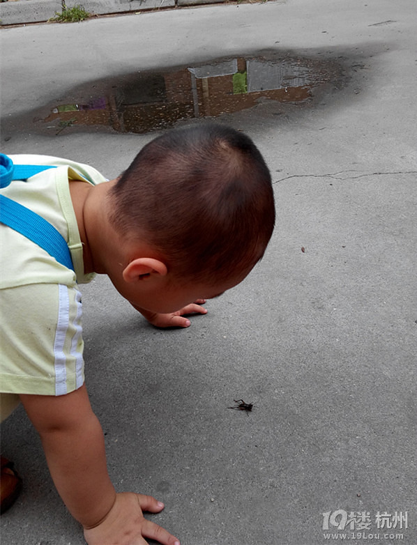 小孩子为什么要捡地上的东西-幼儿园论坛-杭州