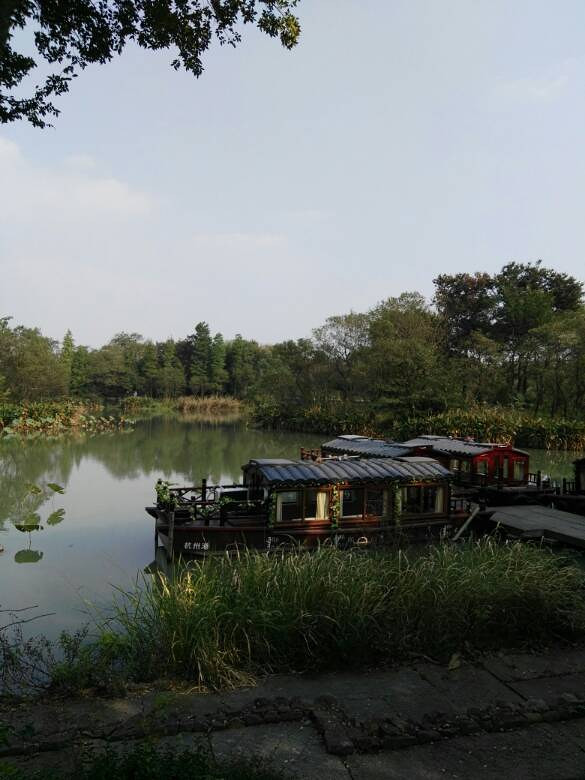 杭州西溪湿地,拍婚纱照的最佳场地.