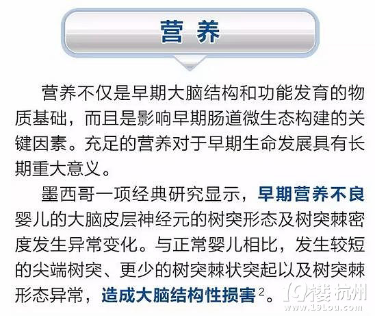 盘点:影响大脑发育的四大因素-健康资讯-健康之