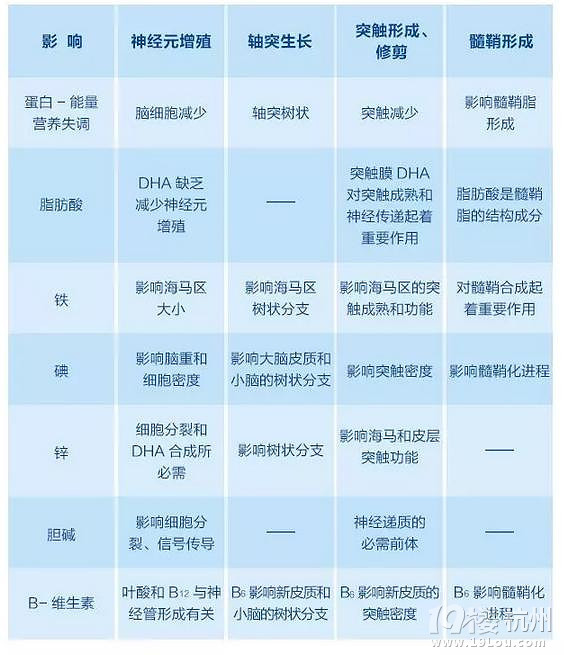 盘点:影响大脑发育的四大因素-健康资讯-健康之