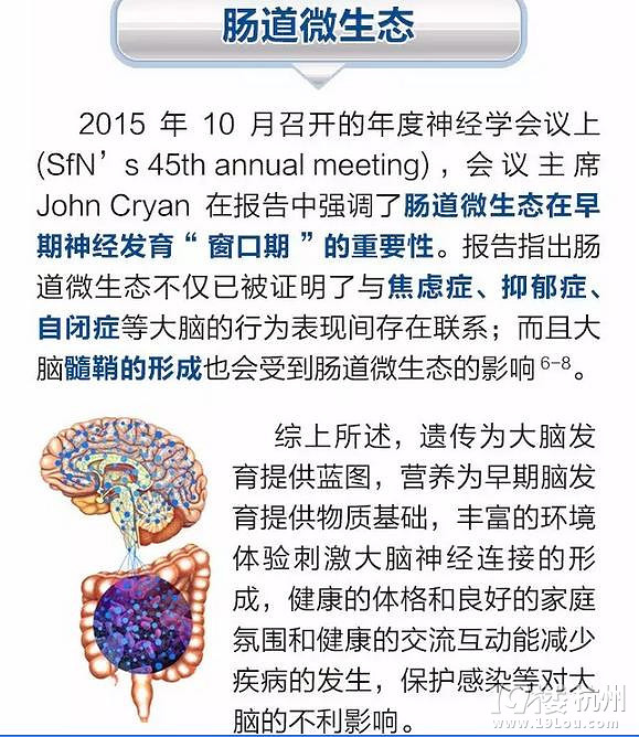 盘点:影响大脑发育的四大因素-健康资讯-健康之