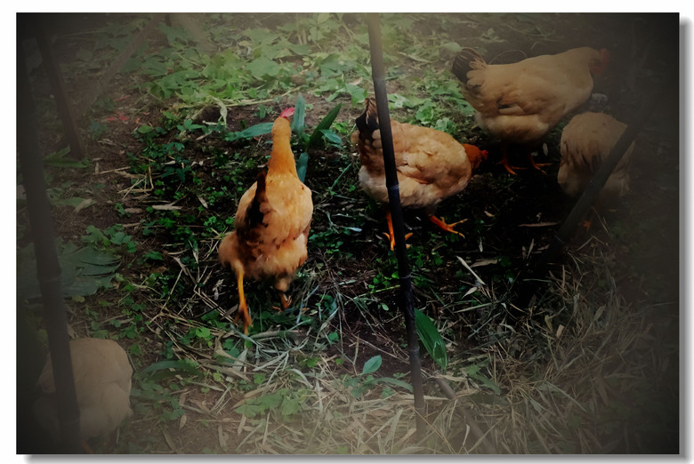 【回家的感觉真好】