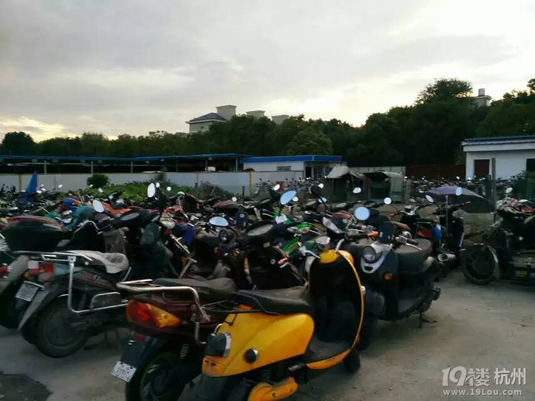 现在很火的小牛电动车,在杭州属于非法车辆-我