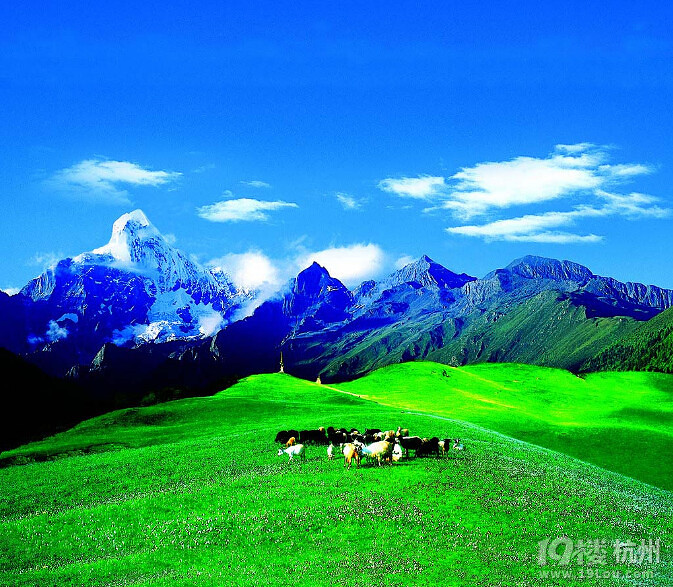 九寨沟旅游攻略 九寨沟旅游攻略和花费-今日折