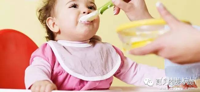 5.6斤养到了31斤。史上最全辅食帖子!-有机生