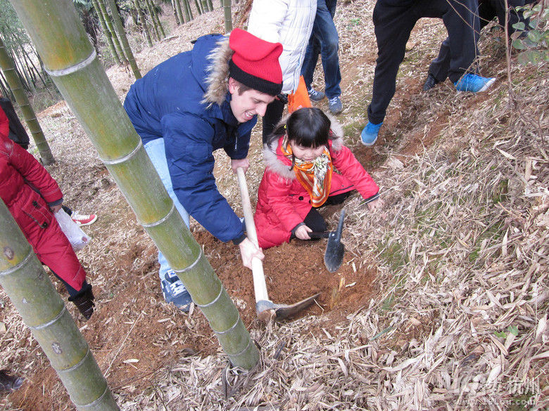 【手机相册】+ 挖冬笋也要讲究中外合作呢!-杭州旅游攻略-大杭州旅游-杭州19楼