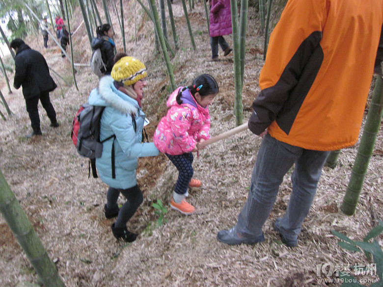 【手机相册】+曾记否那时挖冬笋的艰难?