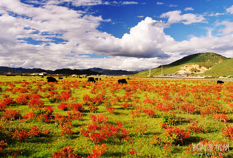 稻城亚丁在哪儿 2015稻城亚丁徒步旅游-Shop