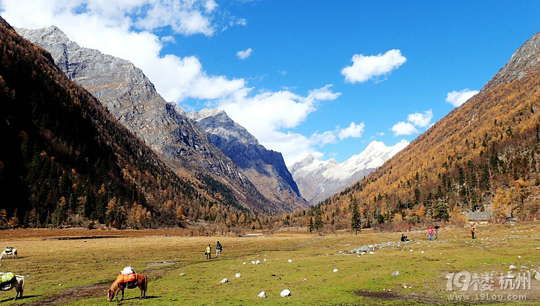 稻城亚丁在哪 稻城亚丁景区门票 薇莘sc_laoli-