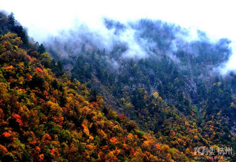 九寨沟旅游攻略 九寨沟旅游攻略和花费 薇莘sc