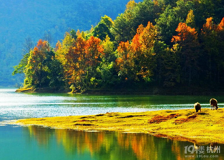 九寨沟旅游攻略自由行 九寨沟旅游网 薇莘sc_