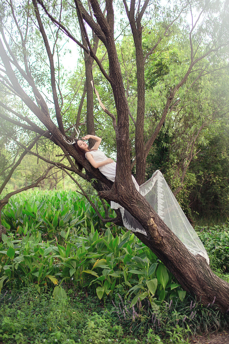 森系鹿角、-人像派-19摄区-杭州19楼