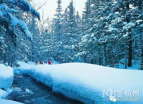 這個(gè)冬天去冰雪奇緣吧！太美了！美到?jīng)]有朋友了！