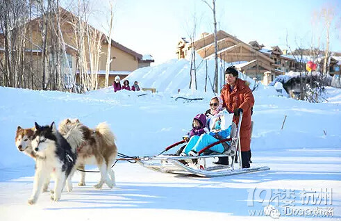 這個(gè)冬天去冰雪奇緣吧！太美了！美到?jīng)]有朋友了！