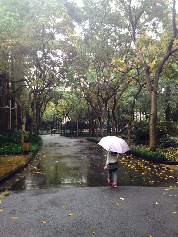 小朋友最喜欢的季节来了。-大杭州旅游-杭州1