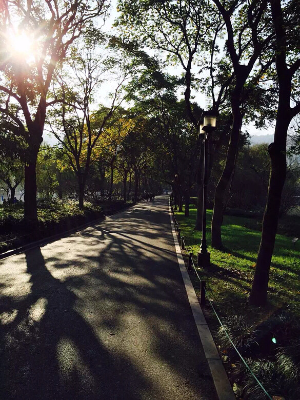 加入晨跑,不错过美景-手机随手拍-杭州19楼