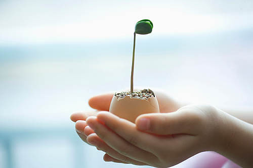 如何判断是否是高位破水,那些准妈妈应该知道