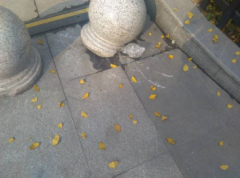 中午遛达拍的-手机随手拍-杭州19楼