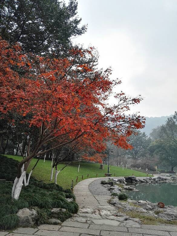 行在路上,心在路上-手机随手拍-杭州19楼