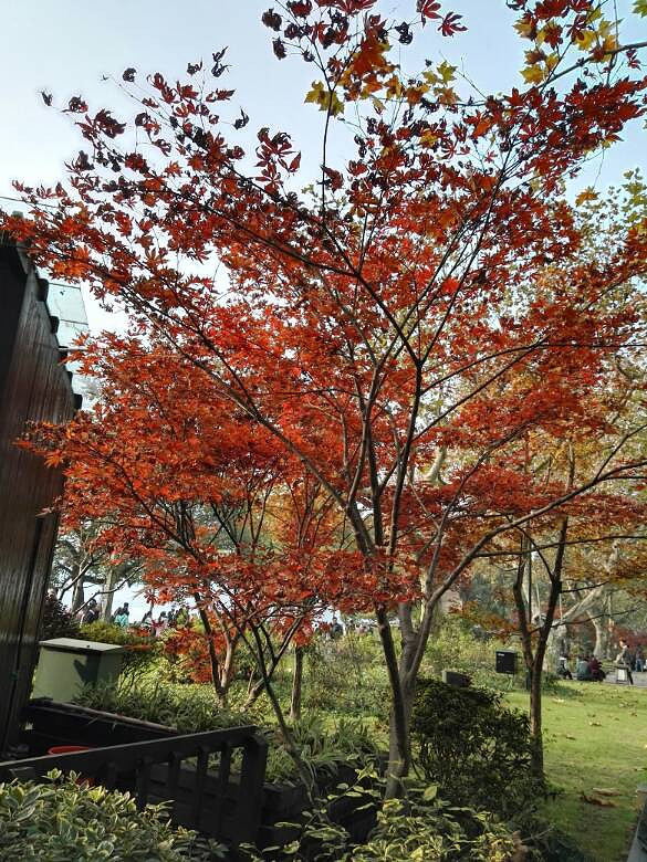 行在路上,心在路上-手机随手拍-杭州19楼