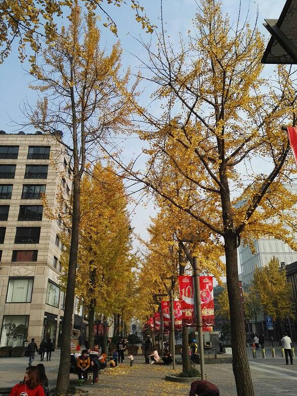 行在路上,心在路上-手机随手拍-杭州19楼