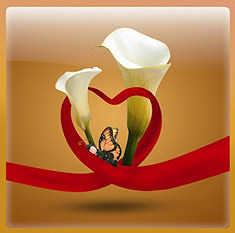 什么叫做泌乳素?泌乳素偏高怎么治疗?-宝妈知