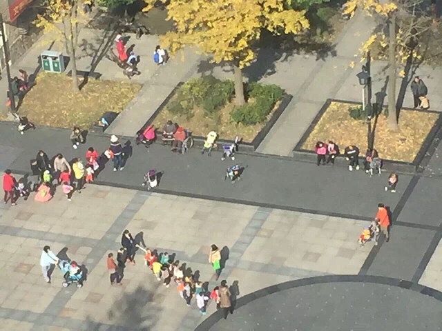 小飞鹰方阵走来了-幼儿园论坛-杭州19楼