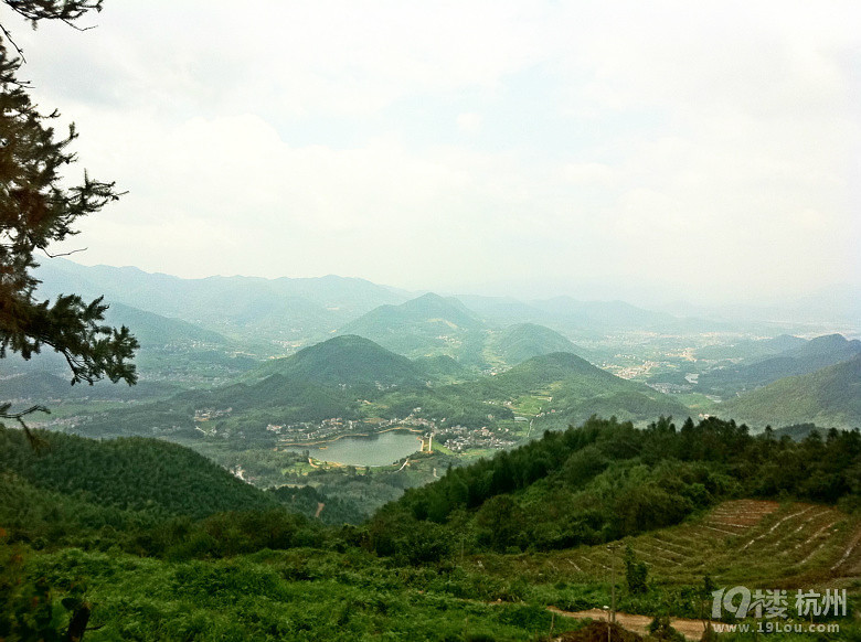 记得夏天的约定,再来合岭民宿。-手机随手拍-杭