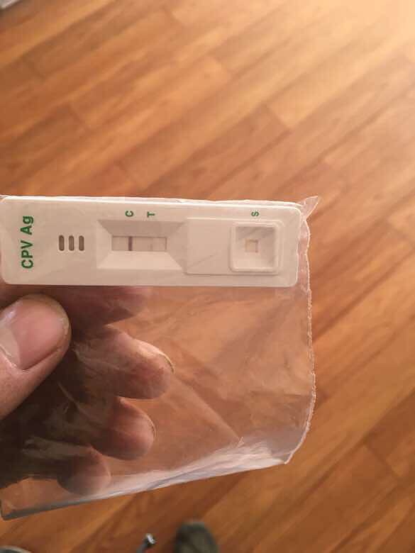 大家注意,现在曝光一家无良宠物店,名字叫-家有