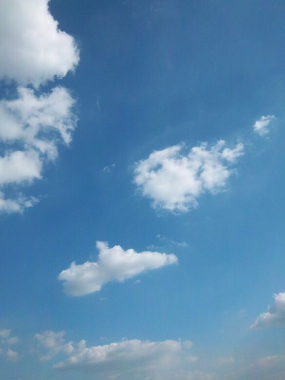 【手机相册】很少有这样耐心对着天空一直拍-