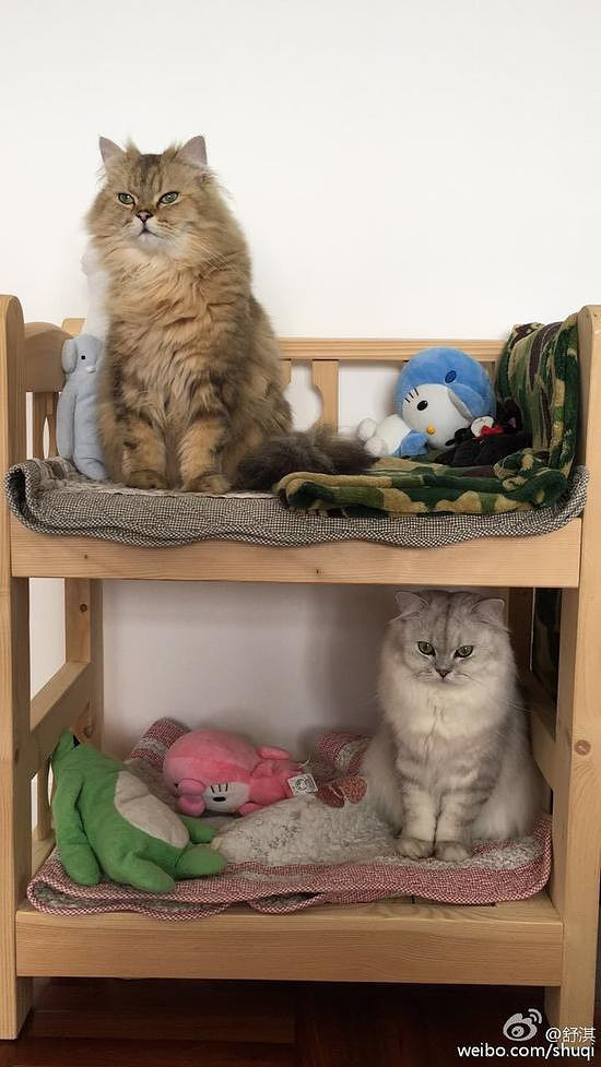 舒淇探班余文乐彭于晏 卖萌合影关系亲密-影片