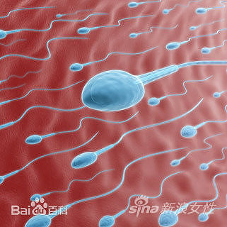 精子是什么颜色?准爸爸的坏习惯要注意!