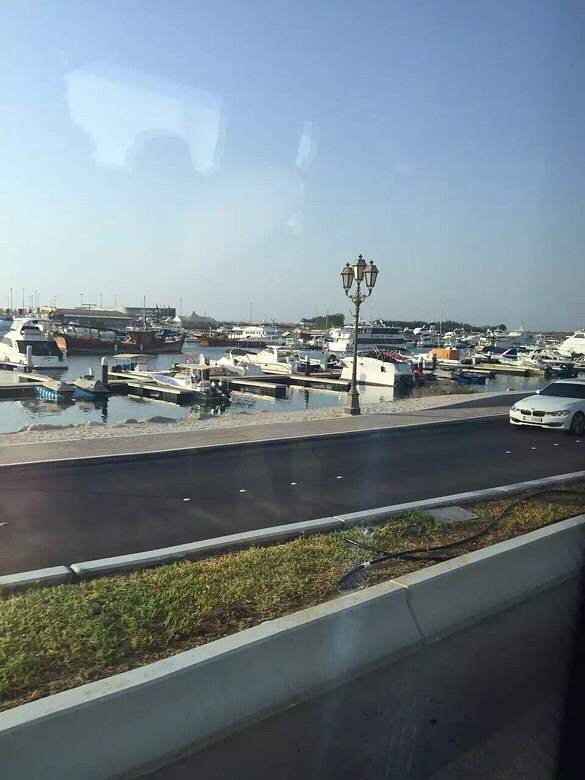 【手机相册】迪拜报纸和建筑-同城活动-杭州1