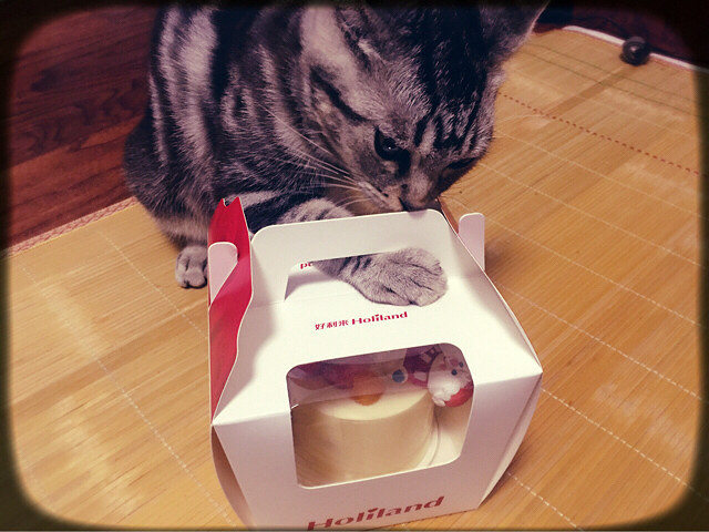 对一切都很好奇地说,前两天做的吊床的毛线-家