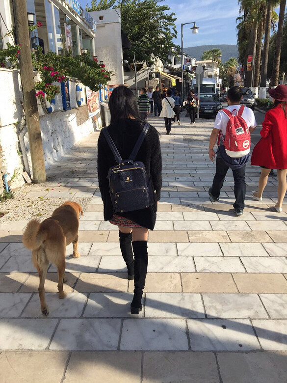 11月的土耳其,回到杭州天气就没好过,还-同城活