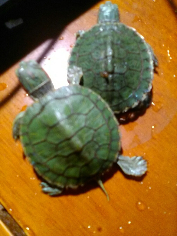 第二次美国签证 我求过-手机随手拍-杭州19楼