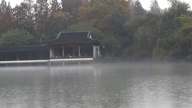 周六,杭州下雨 但确有独特的风景 雨景,-大杭州