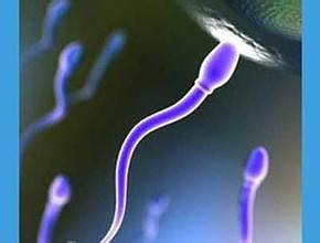 染色体检查有哪些结果?常见三种类型-宝妈知识